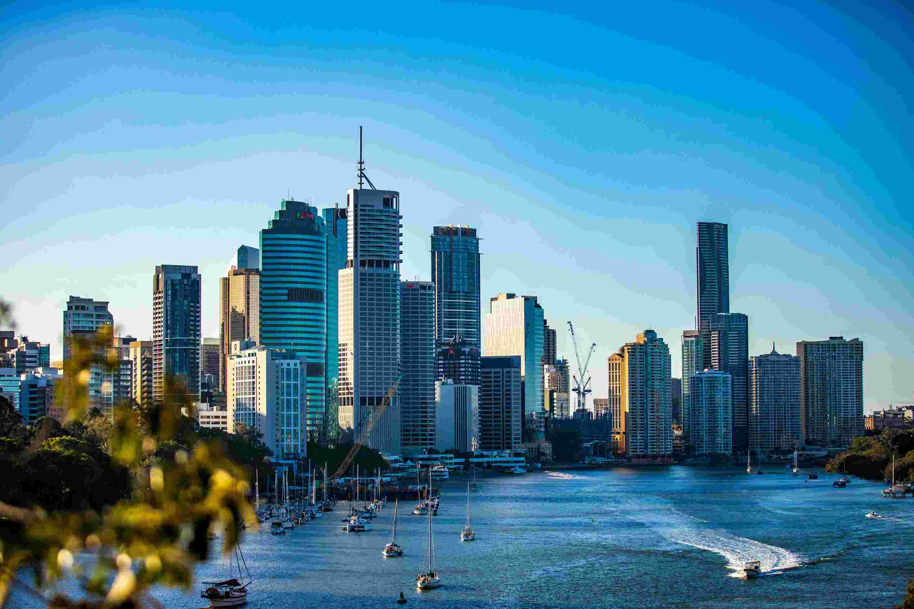 Brisbane Dog Parks